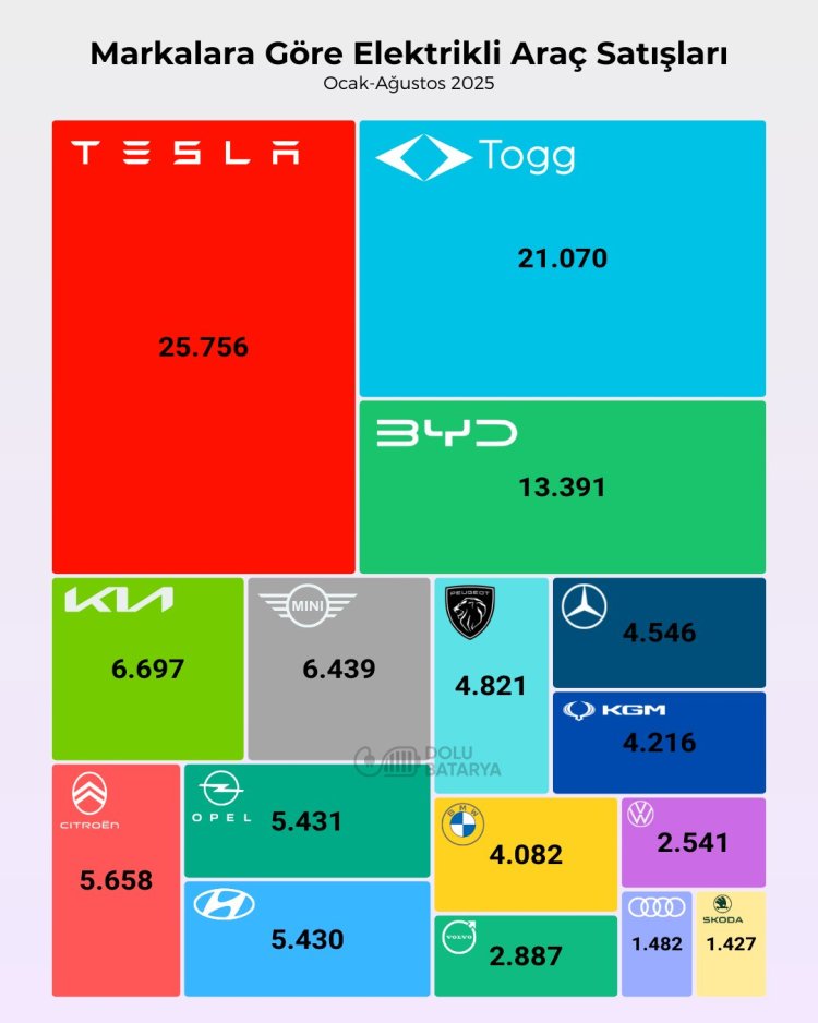 Tesla, Togg ve BYD, Türkiye elektrikli araç pazarının yarısını oluşturuyor.